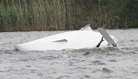 VIKING ZEILWEDSTRIJD ERTVELDPLAS O-JOL 31 MEI 2015_0073