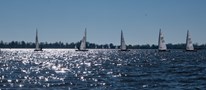 52010068657_cdf37973b8_b