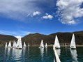Blumenregatta