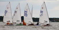 IMG_6356
